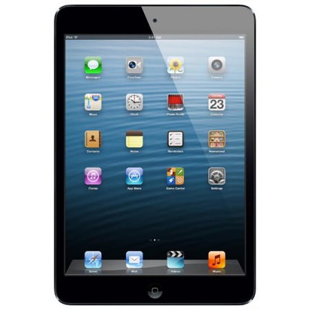 Apple iPad mini 64Gb Wi-Fi черный - Находка